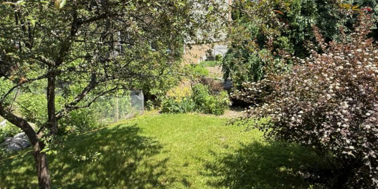 Back IMG_0133
