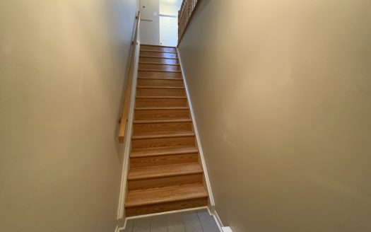 185B Cumberland Street – For Lease