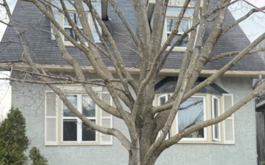 152 Ivy Crescent